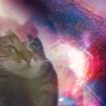 the prophecy is true cat