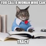 smart cat | WHAT DO YOU CALL A WOMAN WHO CAN'T DRAW? TRACY | image tagged in smart cat | made w/ Imgflip meme maker