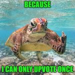 Pissed Off Turtle | BECAUSE; I CAN ONLY UPVOTE ONCE | image tagged in pissed off turtle | made w/ Imgflip meme maker