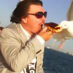 seagul steals food