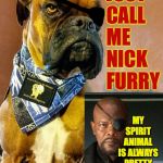 On second thought, don't call me. | JUST
CALL
ME
NICK
FURRY; MY SPIRIT ANIMAL
IS ALWAYS PRETTY
TICKED OFF | image tagged in grumpy dog,memes,nick fury,spirit animal | made w/ Imgflip meme maker