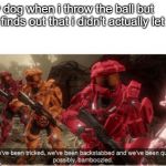 We have been tricked | my dog when i throw the ball but he finds out that i didn't actually let go | image tagged in we have been tricked | made w/ Imgflip meme maker