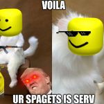 Weird cat | VOILA; UR SPAGETS IS SERV | image tagged in weird cat | made w/ Imgflip meme maker