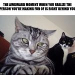Umm... excuse me? | THE AWKWARD MOMENT WHEN YOU REALIZE THE PERSON YOU'RE MAKING FUN OF IS RIGHT BEHIND YOU | image tagged in umm excuse me | made w/ Imgflip meme maker