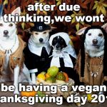 have fun with whatever dietary scheme you want.I'm thinking turkey etc | after due thinking,we wont; be having a vegan thanksgiving day 2019 | image tagged in happy thanksgiving,vegan logic,get some,meme mess,groceries | made w/ Imgflip meme maker