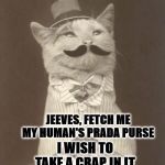 JEEVES | JEEVES, FETCH ME MY HUMAN'S PRADA PURSE; I WISH TO TAKE A CRAP IN IT | image tagged in jeeves | made w/ Imgflip meme maker