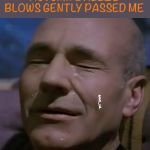 sadpicard | ME WHENEVER AN AUTUMN BREEZE BLOWS GENTLY PASSED ME; @AVIL_GIL | image tagged in sadpicard | made w/ Imgflip meme maker