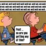 Charlie Brown Teacher meme