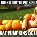 PumpkinSpice | PEOPLE GOING OUT TO PICK PUMPKINS; WHAT PUMPKINS BE LIKE | image tagged in pumpkinspice | made w/ Imgflip meme maker
