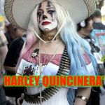 Harley | HARLEY QUINCINERA' | image tagged in harley | made w/ Imgflip meme maker