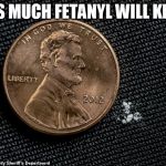 dope an death | THIS MUCH FETANYL WILL KILL U | image tagged in dope an death | made w/ Imgflip meme maker