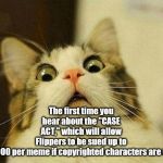 Uh-oh | The first time you hear about the "CASE ACT," which will allow Flippers to be sued up to $30,000 per meme if copyrighted characters are used. | image tagged in frightened cat | made w/ Imgflip meme maker