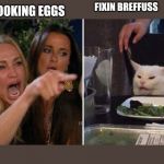 Woman Argues With Cat | I'M COOKING EGGS; FIXIN BREFFUSS | image tagged in woman argues with cat | made w/ Imgflip meme maker