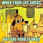 This is fine | WHEN YOUR LIFE SUCKS BUT THE FOOD IS OKAY | image tagged in dog in burning house,this is fine dog | made w/ Imgflip meme maker