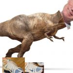 tRex | image tagged in trex | made w/ Imgflip meme maker