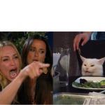 Two women yelling cat