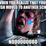 Luke Skywalker Noooo | WHEN YOU REALIZE THAT YOUR CRUSH MOVED TO ANOTHER SCHOOL; NOOOOOOOOO | image tagged in luke skywalker noooo | made w/ Imgflip meme maker