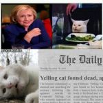 Yelling cat | RAY'S MEMES | image tagged in yelling cat | made w/ Imgflip meme maker