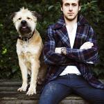 Ryan Gosling dog