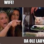 Confused Cat at Dinner | WIFE! DA OLE LADY? | image tagged in confused cat at dinner | made w/ Imgflip meme maker