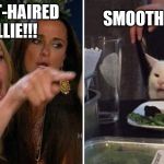Yelling woman cat | SMOOTH COLLIE; SHORT-HAIRED COLLIE!!! | image tagged in yelling woman cat | made w/ Imgflip meme maker