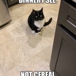 The judgy roommate | MAKING DINNER I SEE. NOT CEREAL TONIGHT? | image tagged in the judgy roommate | made w/ Imgflip meme maker