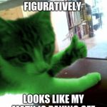 thumbs up RayCat | LITERALLY OR FIGURATIVELY; LOOKS LIKE MY MATH IS PAYING OFF | image tagged in thumbs up raycat | made w/ Imgflip meme maker
