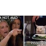 Ladies Yelling at Confused Cat | I'M NOT MAD; PISSED OFF | image tagged in ladies yelling at confused cat | made w/ Imgflip meme maker