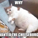 Fat Cat Crying | WHY; I WANTED THE CHEESEBURGER | image tagged in fat cat crying | made w/ Imgflip meme maker
