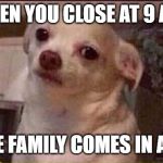 Seriously Dog | WHEN YOU CLOSE AT 9 AND A HUGE FAMILY COMES IN AT 8:58 | image tagged in seriously dog | made w/ Imgflip meme maker