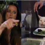 Table Cat meme
