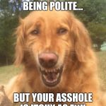 Fake smile dog | WHEN UR BEING POLITE... BUT YOUR ASSHOLE IS ITCHY AS F**K | image tagged in fake smile dog | made w/ Imgflip meme maker