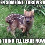 Insulted Pudu | WHEN SOMEONE  THROWS A FIT; I THINK I’LL LEAVE NOW | image tagged in insulted pudu | made w/ Imgflip meme maker