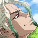 Dr Stone 1