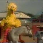 Big bird riding