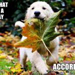 leaf puppy nature | DECIDE THAT
TODAY IS A
GREAT DAY; ACT
ACCORDINGLY | image tagged in leaf puppy nature | made w/ Imgflip meme maker