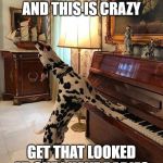 Dog sings | I JUST BIT YOU, AND THIS IS CRAZY; GET THAT LOOKED AT, CUZ I HAVE RABIES | image tagged in dog sings | made w/ Imgflip meme maker