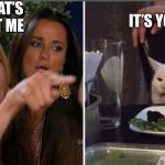 Screaming woman/cat | THAT’S NOT ME; IT’S YOU | image tagged in screaming woman/cat | made w/ Imgflip meme maker