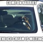 Come on Harriet | COME ON HARRIET; THE ICE CREAM IS MELTING | image tagged in come on harriet | made w/ Imgflip meme maker