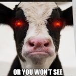 Angry Cow | EAT MORE CHICKEN; OR YOU WON’T SEE THE SUN RISE TOMORROW | image tagged in angry cow | made w/ Imgflip meme maker