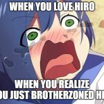 Darling in the Franxx Ichigo | WHEN YOU LOVE HIRO; WHEN YOU REALIZE YOU JUST BROTHERZONED HIM | image tagged in darling in the franxx ichigo | made w/ Imgflip meme maker