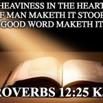 Bible | HEAVINESS IN THE HEART OF MAN MAKETH IT STOOP:  BUT A GOOD WORD MAKETH IT GLAD; PROVERBS 12:25 KJV | image tagged in bible | made w/ Imgflip meme maker