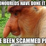 Zero Clue what to call this | THE HONOUREDS HAVE DONE IT AGAIN; WE'VE BEEN SCAMMED PEOPLE | image tagged in the honoureds | made w/ Imgflip meme maker