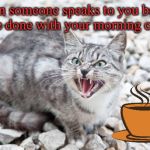 Every day... | When someone speaks to you before you're done with your morning coffee. | image tagged in hissing cat,coffee addict,coffee,i love coffee,memes | made w/ Imgflip meme maker