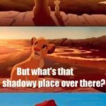 lion king light touches shadowy place kek | EVERYTHING THE LIGHT TOUCHES IS AN ACCEPTABLE GAME; THAT’S FORTNITE. YOU MUST NEVER GO THERE. | image tagged in lion king light touches shadowy place kek | made w/ Imgflip meme maker