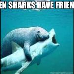 Manatee hugs sharkhark | EVEN SHARKS HAVE FRIENDS | image tagged in manatee hugs sharkhark | made w/ Imgflip meme maker
