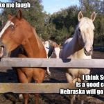 Peg the horse | Don't make me laugh; I think Scott Frost
is a good coach and
Nebraska will go to a bowl | image tagged in peg the horse | made w/ Imgflip meme maker