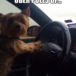 Peepers | WHEN YOUR UBER PULLS UP... | image tagged in peepers | made w/ Imgflip meme maker