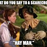 wizard of Oz scarecrow Dorothy | WHAT DO YOU SAY TO A SCARECROW? "HAY MAN," | image tagged in wizard of oz scarecrow dorothy | made w/ Imgflip meme maker