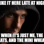 Supermarket stocker  ( : | I LIKE IT HERE LATE AT NIGHT; WHEN IT'S JUST ME, THE MEATS, AND THE MINI WHEATS | image tagged in stocker,memes | made w/ Imgflip meme maker